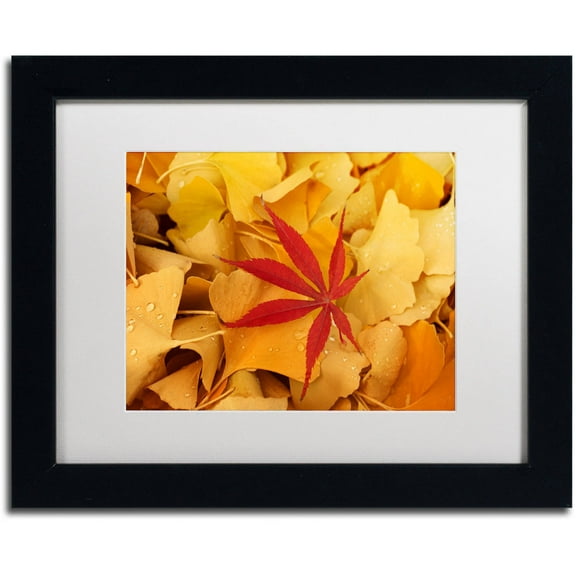 Trademark Fine Art "Red Star" Canvas Art by Philippe Sainte-Laudy White Matte, Black Frame