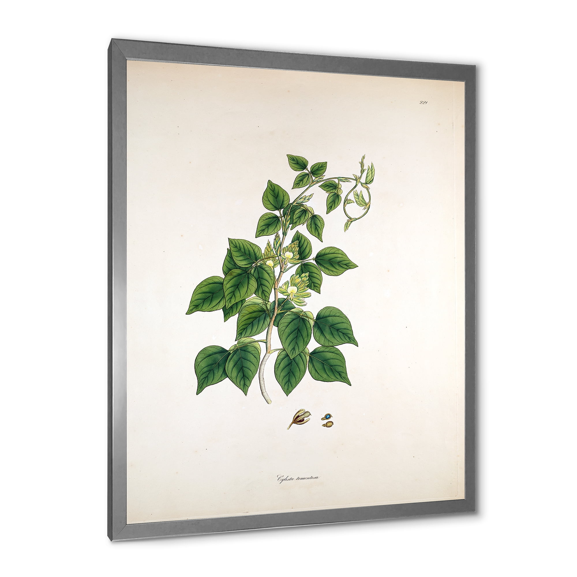 Designart 'Ancient London Plants VIII' Farmhouse Framed Art Print