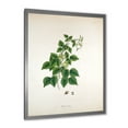 thumbnail image 2 of Designart 'Ancient London Plants VIII' Farmhouse Framed Art Print, 2 of 4