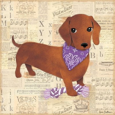 Arte en lienzo Oopsy Daisy: dachshund 25 x 25 cm