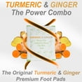 Dr. Entre's Natural Turmeric & Ginger Infused Detox Foot Pads Toxin