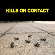 Raid Defense System Insect Killer, Indoor and Outdoor Home Defense Bug Spray for Ants, Roaches, Spiders and Flies, 15 oz