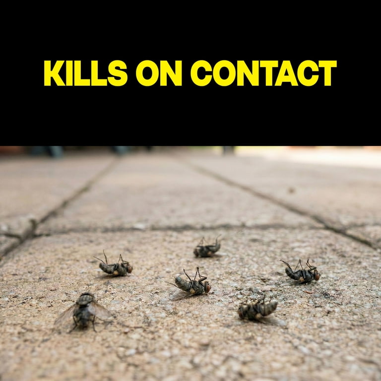 Raid Multi Insect Killer, Indoor & Outdoor, 15 oz photo 3