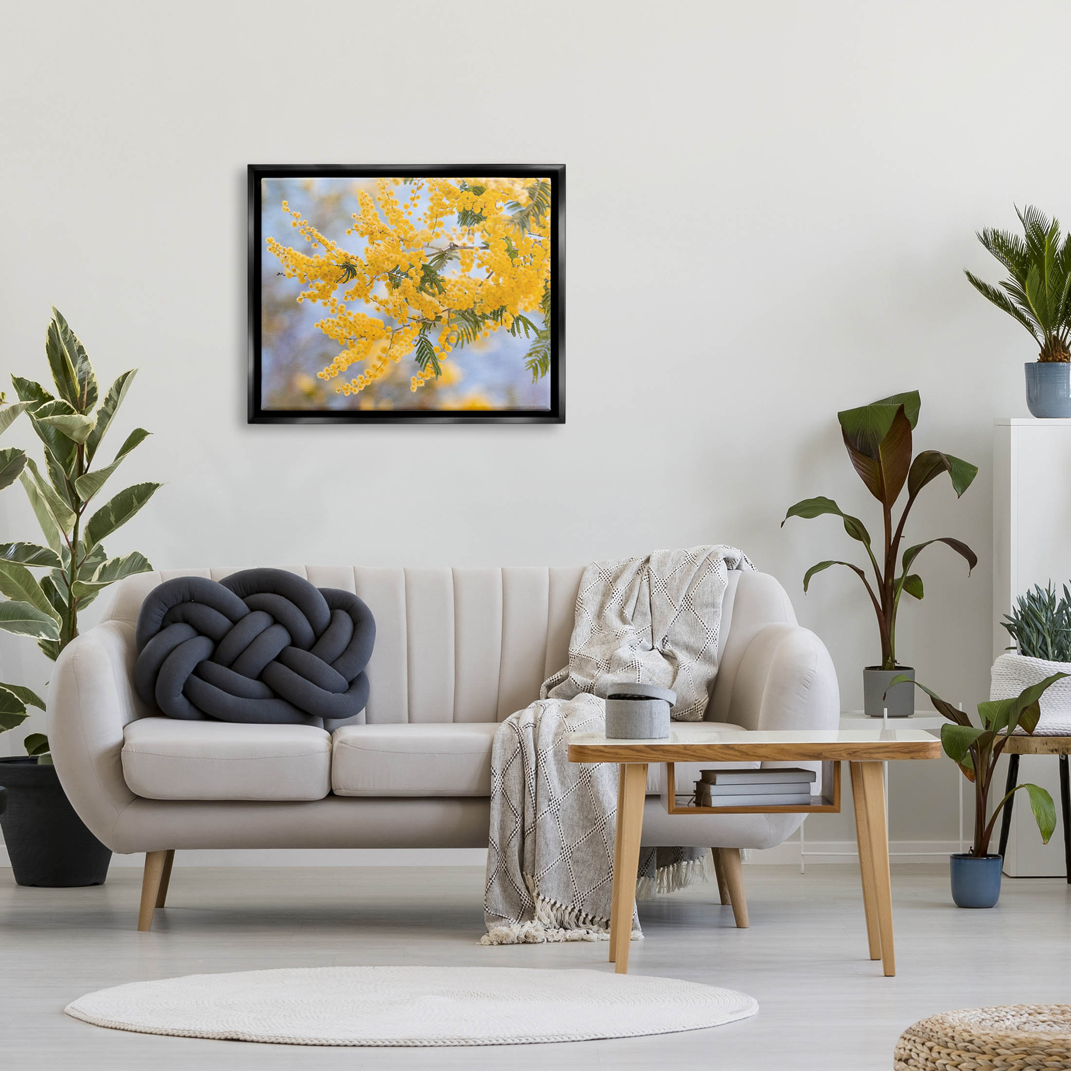 Yellow Mimosa Tree Flowers Nature Botanical & Floral Photograph Jet Black Framed Art Print Wall Art