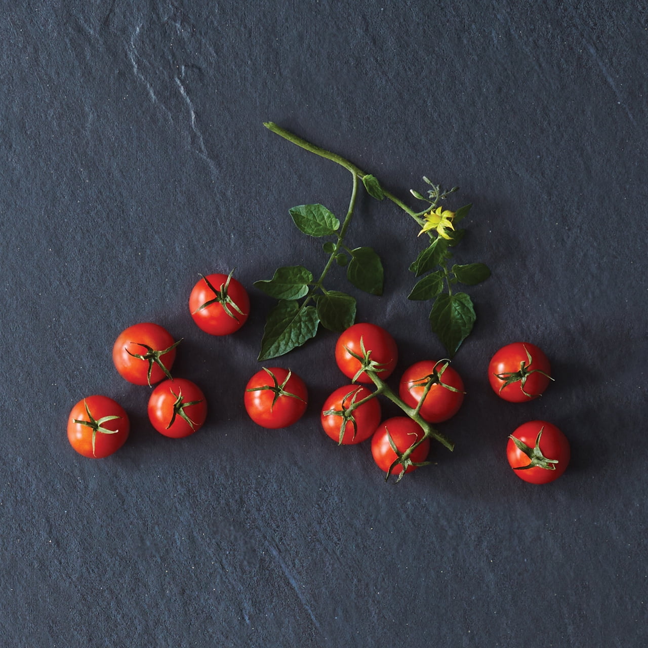 Expert Gardener 1Pt Beefsteak, Better Boy and Cherry Tomato Mix Annual Plant, 6-Pack
