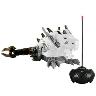 Vivitar's Intelligent Robot with Remote