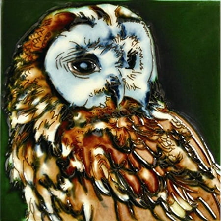 - En Vogue H-28 6 x 6 in. Owl, Decorative Ceramic Art Tile