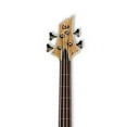 thumbnail image 4 of B B-204SM FL NS Bass Guitar, 4 of 4