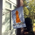 thumbnail image 2 of Carolines Treasures BB5645CHF Irish Setter Welcome Flag Canvas House Size, 2 of 4