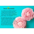 thumbnail image 5 of Organic Camellia Seed Oil | Imported From Japan | 8oz Bottle | 100% Pure | 100% Organic | For Hair & Skin Use | By Sweet Essentials, 5 of 5