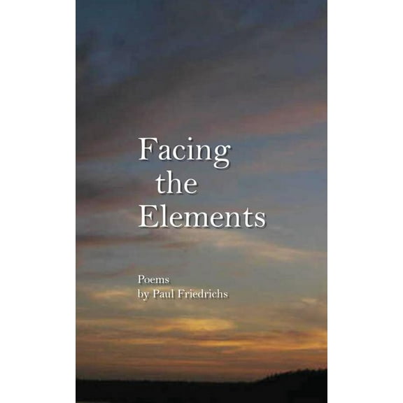 Facing the Elements (Paperback) by Paul Edward Friedrichs