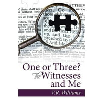 One or Three? The Witnesses and Me (Paperback)