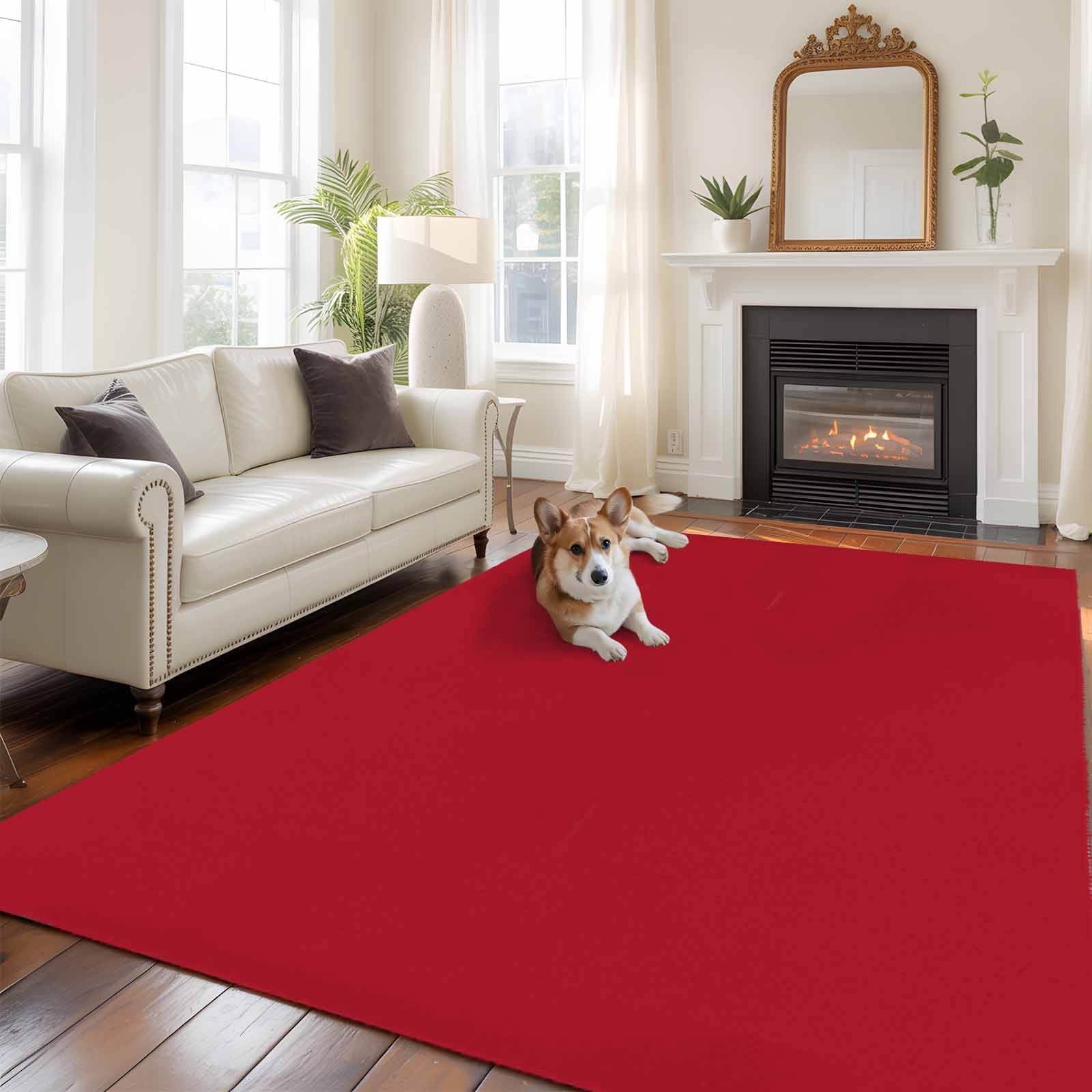 Pure Red Area Rugs 5'x8', Washable Small Throw Rugs for Classroom Bedroom, Simple Solid Color Indoor Outdoor Rug Non-Slip Low Pile Carpet Runner Reversible Floor Mats