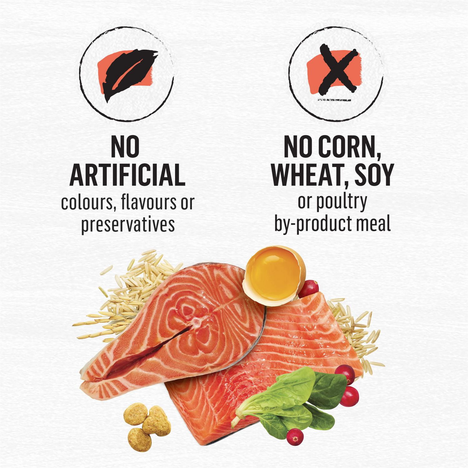 Beyond Simply Recette de Saumon et de Riz Brun Entier, Nourriture Sèche pour Chats 1,36 kg