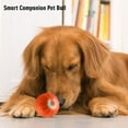 Walbest Interactive Dog Rolling Ball Toy USB Rechargeable Smart Ball