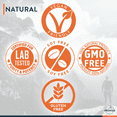 thumbnail image 4 of TRUWILD Motion All Natural Pre Workout Powder Drink Mix for Men & Women w/ No Jitters or Crash – Whole Food Plant Based Vegan – Organic w/ Electrolytes + BioPerine – Pineapple Mango - 20 servings, 4 of 5