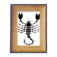 thumbnail image 1 of Constelación de Escorpio, signo del Zodiaco Marco de imagen marco de escritorio, 1 of 4