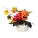 thumbnail image 2 of Xihbxyly Decoración de Calabaza de Halloween, Adorno de Acción de Gracias de Otoño, Diseño Único con Hojas y Bayas, Decoración de Mesa o Sala de Estar, Fácil Mantenimiento, Tamaño Pequeño 19 X 19 X 2, 2 of 6