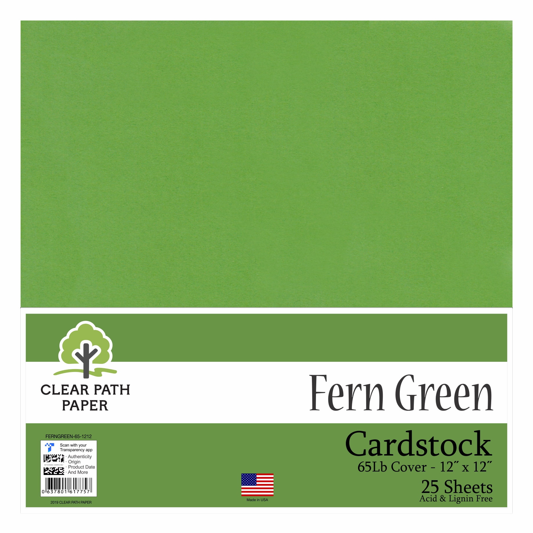 Fern Green Cardstock 12 x 12 inch 65Lb Cover 25 Sheets Clear