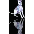 thumbnail image 2 of CafePress - Whippet Reflection Throw Blanket - Soft Fleece Throw Blanket, 50"x60" for All Ages, 2 of 2