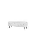 thumbnail image 1 of Baxton Studio Ottomane de Rangement Contemporaine en Cuir Seine, Blanc, 1 of 2