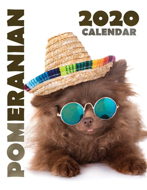 Pomeranian 2020 Calendar (Paperback) - Walmart.com - Walmart.com