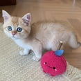 thumbnail image 4 of Jellycat Jellycat Toys Cat Chewing Teether Cat Toy Cat Teaser Pet Plush Toy, 4 of 7