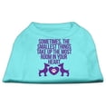 thumbnail image 1 of Smallest Things Screen Print Dog Shirt Aqua Xxl (18), 1 of 1