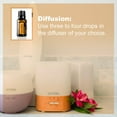 thumbnail image 4 of doTerra Citrus Bliss Essential Oil Blend 15 ml, 4 of 9