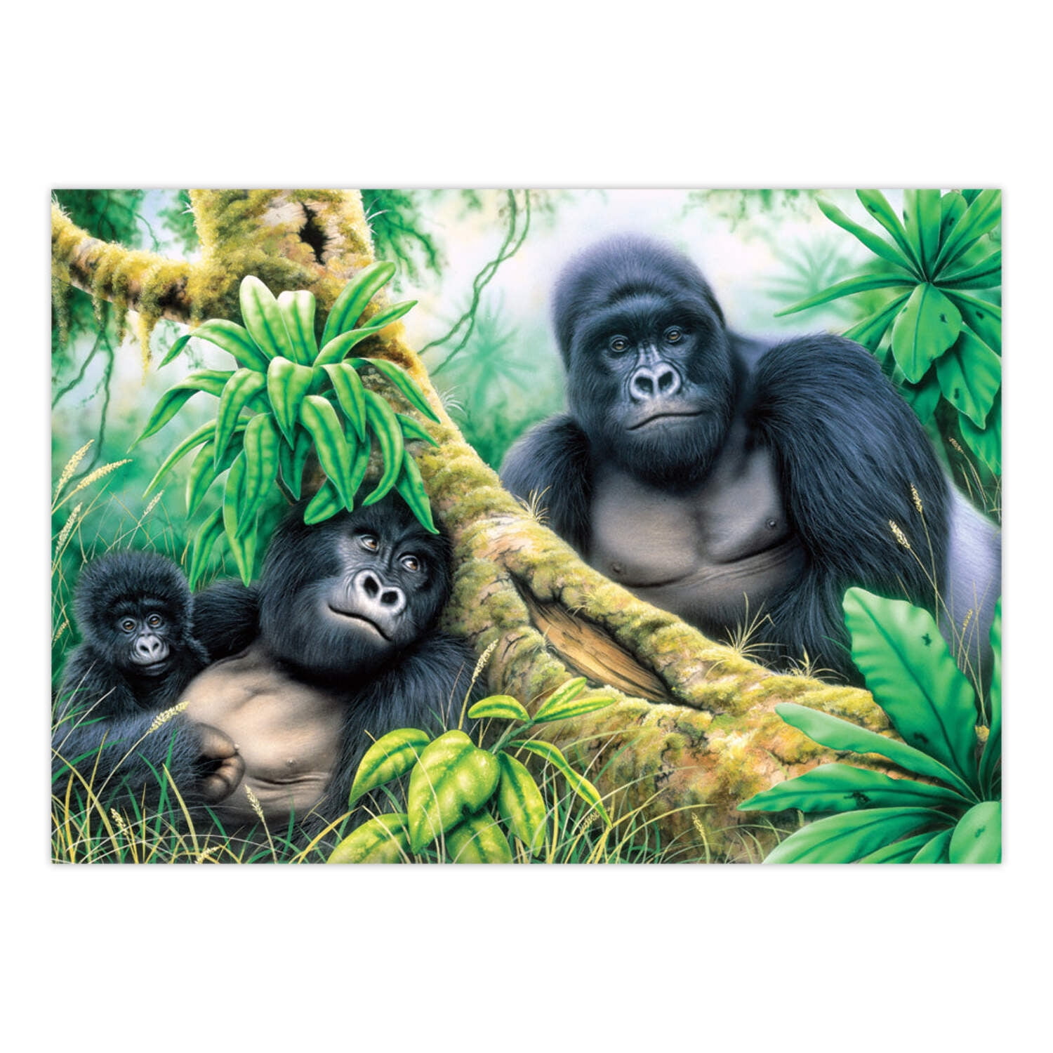 (2 pack) Royal Brush Mountain Gorillas Paint-by-Number Kit