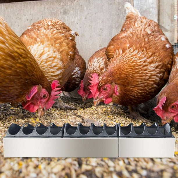 Comedero para pollos, bebedero, contenedor, dispensador de alimento para , bandeja de alimentación para aves de corral, para aves, gansos, 60 cm x 10 cm