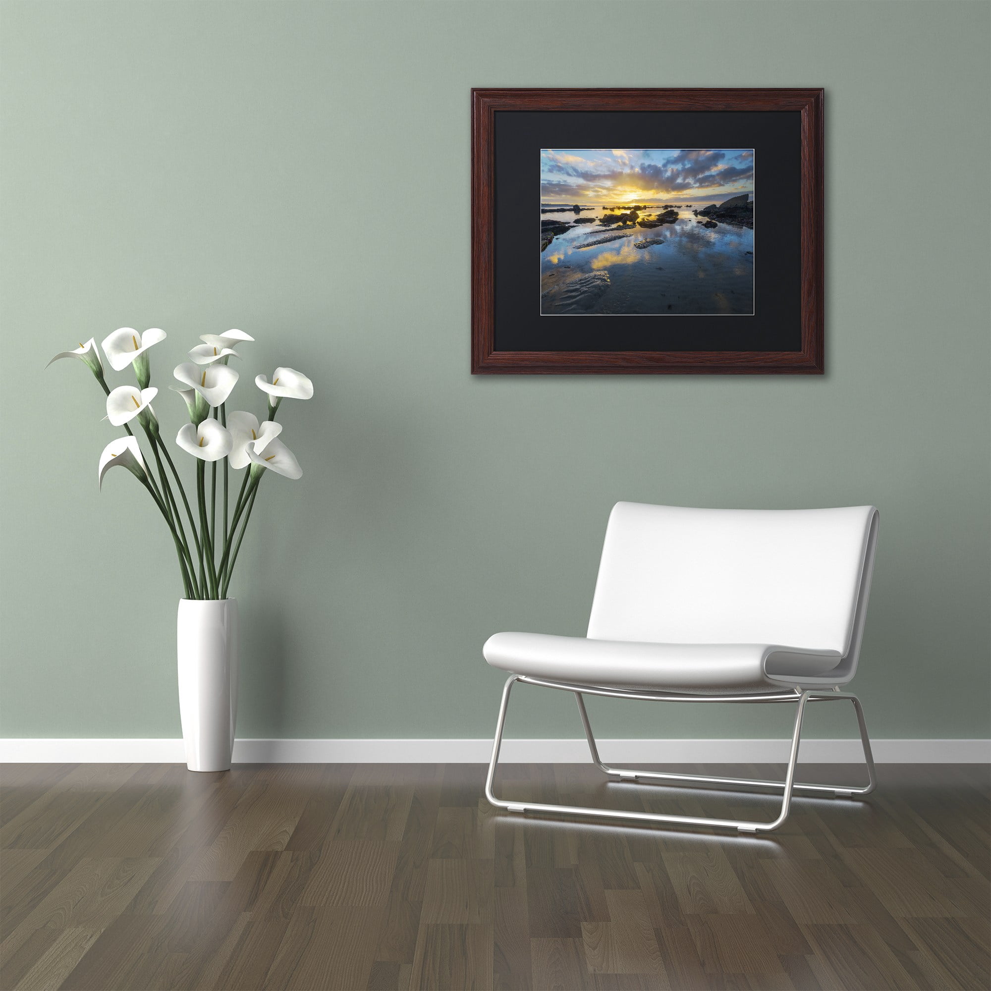 Trademark Fine Art "Nature's Gift" Canvas Art by Mathieu Rivrin, Black Matte, Wood Frame