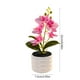 thumbnail image 3 of Bonsái de flores de seda Phalaenopsis • Orquídea artificial roja rosa • Decoración de escritorio realista • 8,66" de altura • Vasija lastrada para centros de mesa de bodas y oficinas, 3 of 6