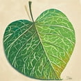 thumbnail image 2 of Pinto, Patricia 12x12 White Modern Wood Framed Museum Art Print Titled - Veins of Green Leaf on Cream I, 2 of 4