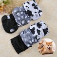 thumbnail image 3 of Pet Sanitary Pants - Anti-Harassment Leak-Proof Cute Physiological Pants for Home Use, 3 of 8