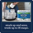thumbnail image 6 of Quilted Northern Ultra Soft & Strong Toilet Paper, 12 Mega Rolls, 6 of 16