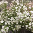 thumbnail image 3 of Coolmade Artificial Baby Breath Gypsophila Flowers Bouquets 15 pcs Real Touch Flowers for Wedding Party DIY Wreath Floral Arrangement Home Decoration (White), 3 of 8