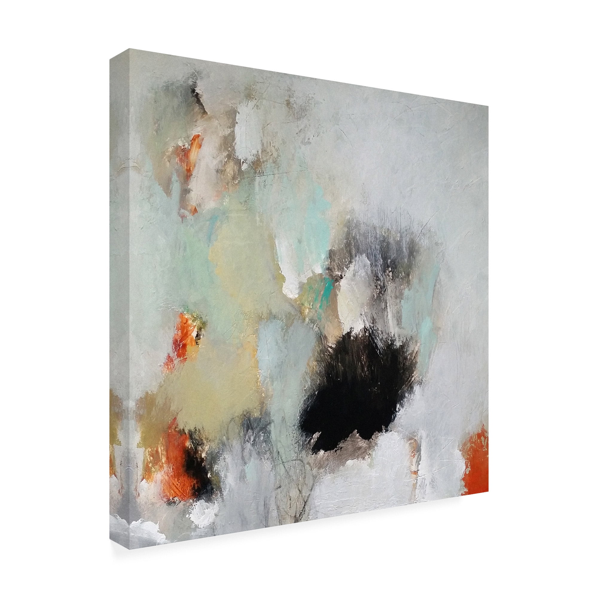 Trademark Fine Art 'Just Let Go' Canvas Art by Nicole Hoef