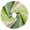 Forest Green, variant on 80 Pcs Jelly Roll Fabric Strips for Quilting Fabric, Sewing Supplies & DIY Crafts-2.6 Inch Precut Cotton Fabric Bundles, Perfect for Quilt Projects,Floral Patchwork Blue