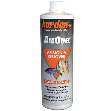 Kordon AmQuel Ammonia Remover Water Conditioner for Fresh and Saltwater, 16 fl (Best Aquarium Ammonia Remover)