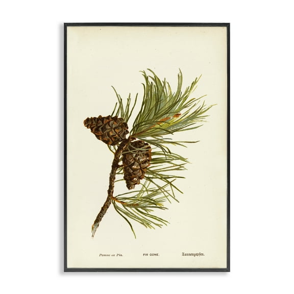 Stupell Industries Fir Tree Cones Plants & Flowers Painting Black Framed Art Print Wall Art, 12 x 18