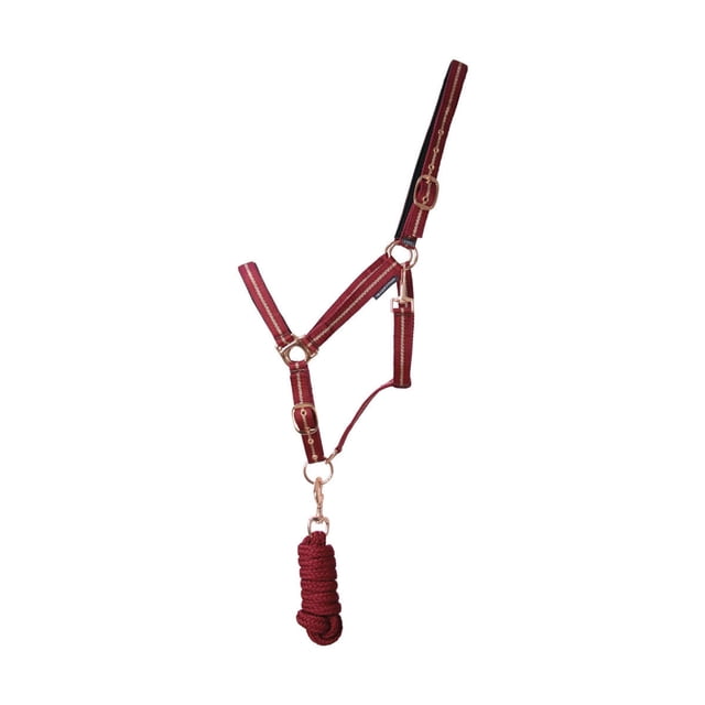 Hy Collier de Cheval Pailleté et Cordelette