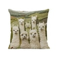thumbnail image 2 of Llama Decorative Pillow Covers, Farmhouse Throw Pillow Cases, Fanciful Alpaca Print Cushion Covers for All Seasons Home Decor, Cozy Village Garden Pillow Case 18x18 Inch, 2 of 6