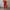 Red, variant on Levmjia Jumpsuit for Women Clearance Plus Size Casual Overalls Sleeveless One-Piece Waist Suspenders Leggings Jumpsuits