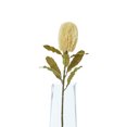 thumbnail image 3 of Hill Interiors Banksia Serrata Artificial Flower, 3 of 4