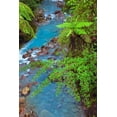 thumbnail image 2 of Jones, Adam 11x14 Black Ornate Wood Framed with Double Matting Museum Art Print Titled - Small stream or creek-Costa Rica, 2 of 4