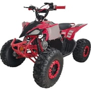 RPS 125cc ATV Jet 9