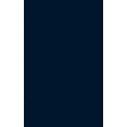 thumbnail image 1 of The Large International Firm in Developing Countries: The International Petroleum Industry, 1 of 2