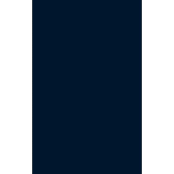 The Large International Firm in Developing Countries: The International Petroleum Industry