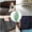 Green#002, variant on Bisitoy Lint Rollers for Pet Hair Extra Sticky – Reusable Travel Size Cleaner for Dog and Cat Hair on Sofa and Bed (Green)